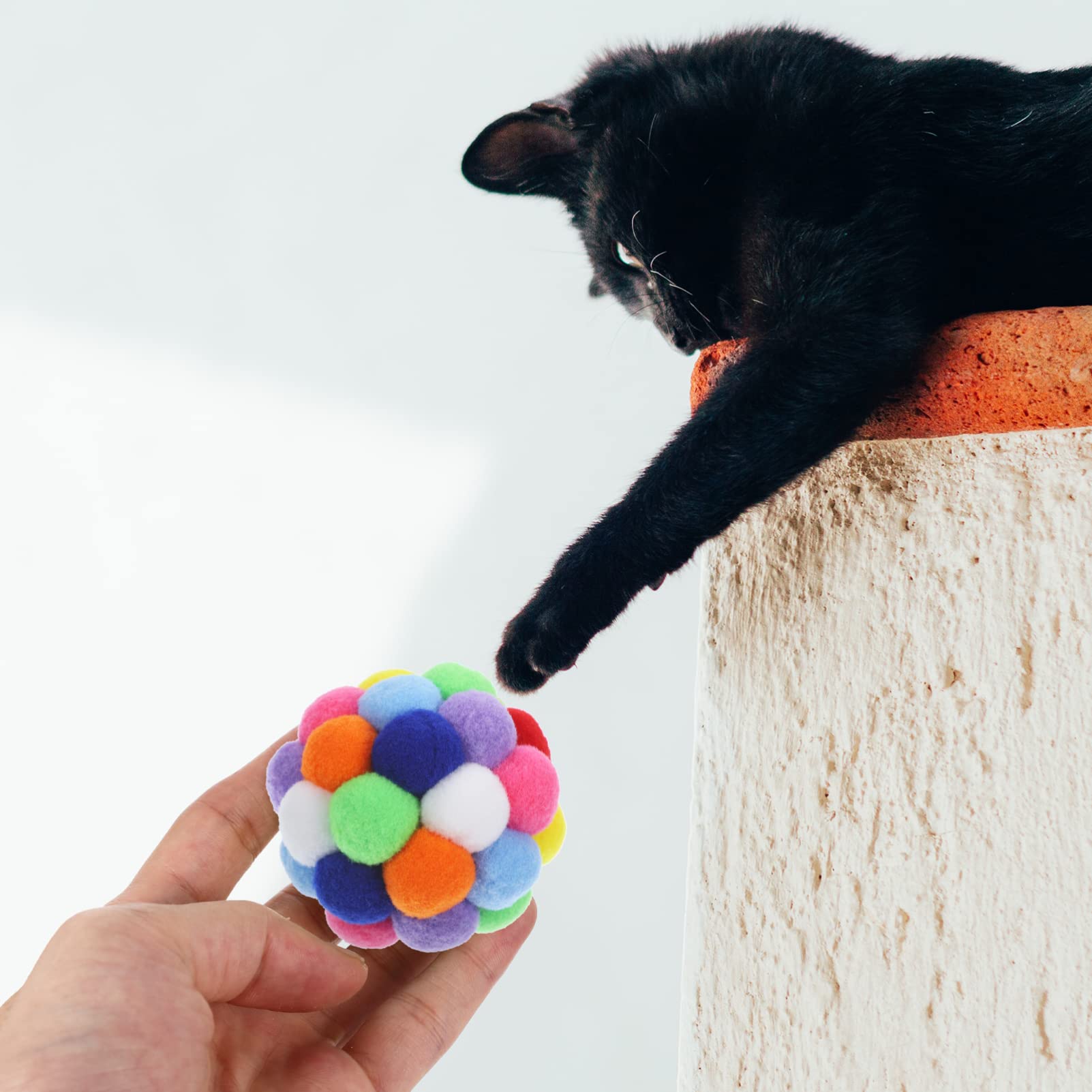 Kot polujący na zabawkę